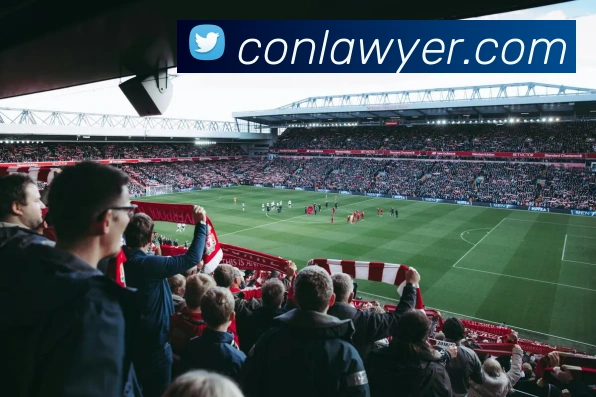奖项证书